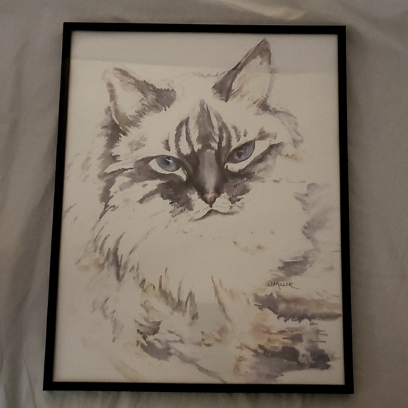 L. Miller Himalayan Cat Print Framed with Glass Front - Picture 2 of 5